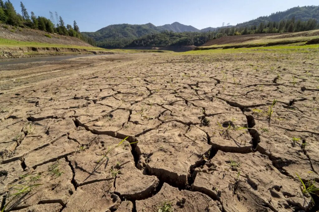 Can Species Evolve Rapidly Enough to Adapt to Global Warming