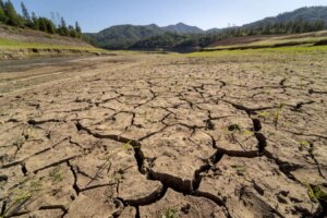 Can Species Evolve Rapidly Enough to Adapt to Global Warming