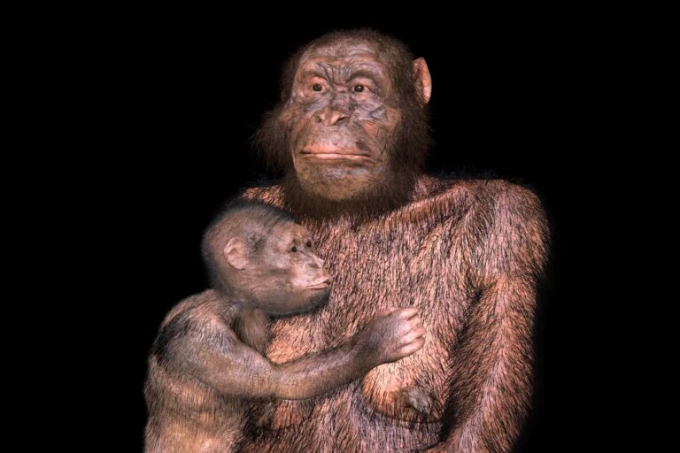 Challenges of Birth in Our Extinct Australopithecus Relatives: Insights into Evolution Challenges of Birth in Our Extinct Australopithecus Relatives Insights into