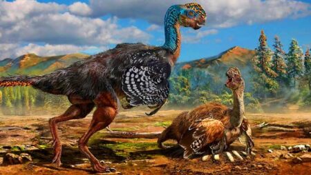 Did Oviraptors Rely on Sunlight for Egg Hatching