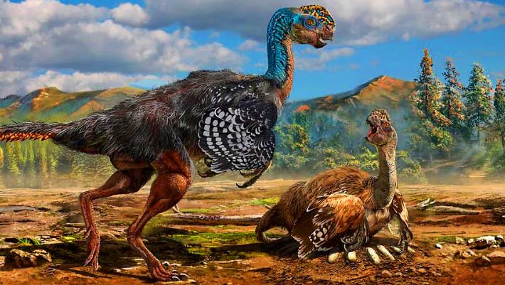 Did Oviraptors Rely on Sunlight for Egg Hatching