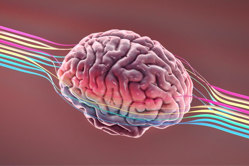 Discover the Only Proven Method to Boost Your IQ Effectively Discover the Only Proven Method to Boost Your IQ Effectively