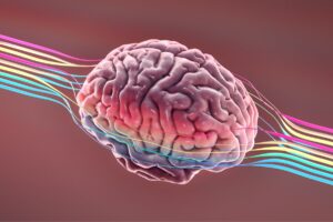 Discover the Only Proven Method to Boost Your IQ Effectively