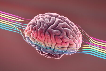 Discover the Only Proven Method to Boost Your IQ Effectively