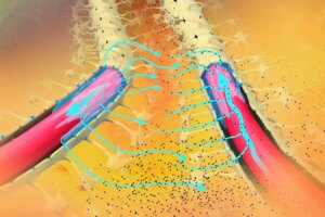 Enhancing the Brains Cleansing System to Combat Alzheimers Proteins