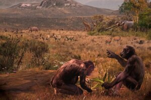 First Upright Apes Likely Evolved in Europe New Findings Reveal