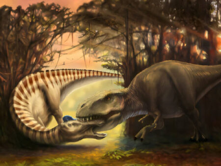 Fossil Evidence Reveals Tyrannosaurus Attack on Duck Billed Dinosaur
