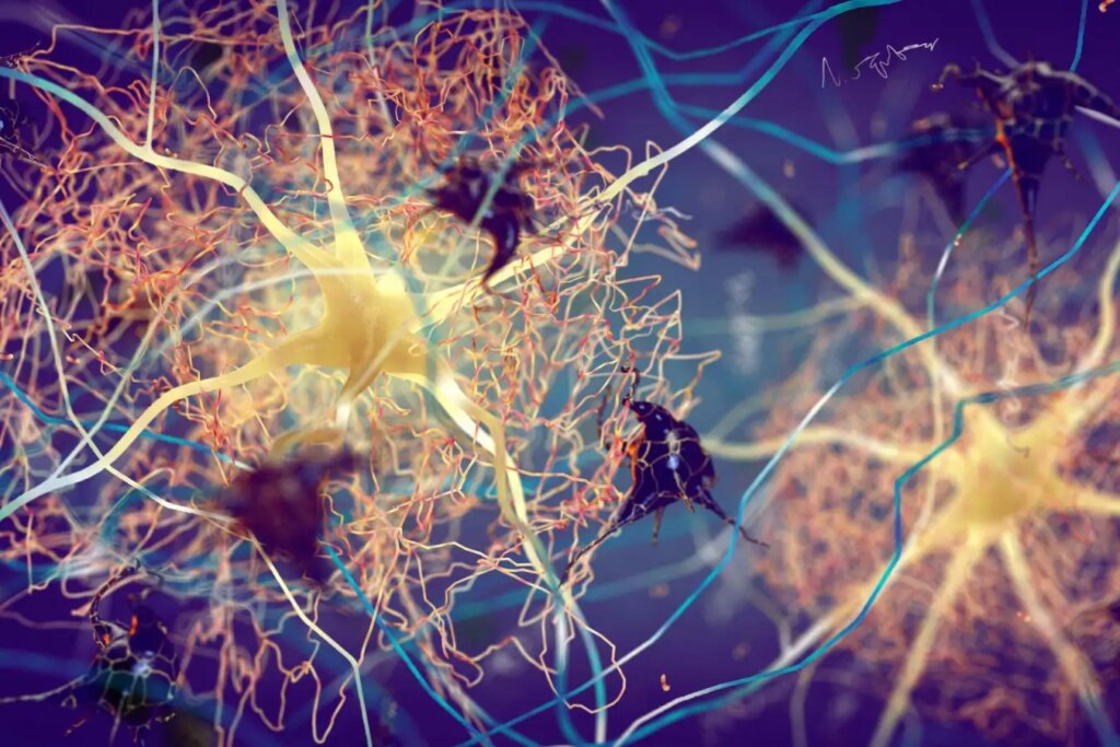 How Skin Lung and Intestinal Inflammation Could Signal Early Onset