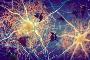 How Skin Lung and Intestinal Inflammation Could Signal Early Onset