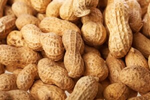 How Your Microbiome Influences the Risk of Severe Allergic Reactions How Your Microbiome Influences the Risk of Severe Allergic Reactions