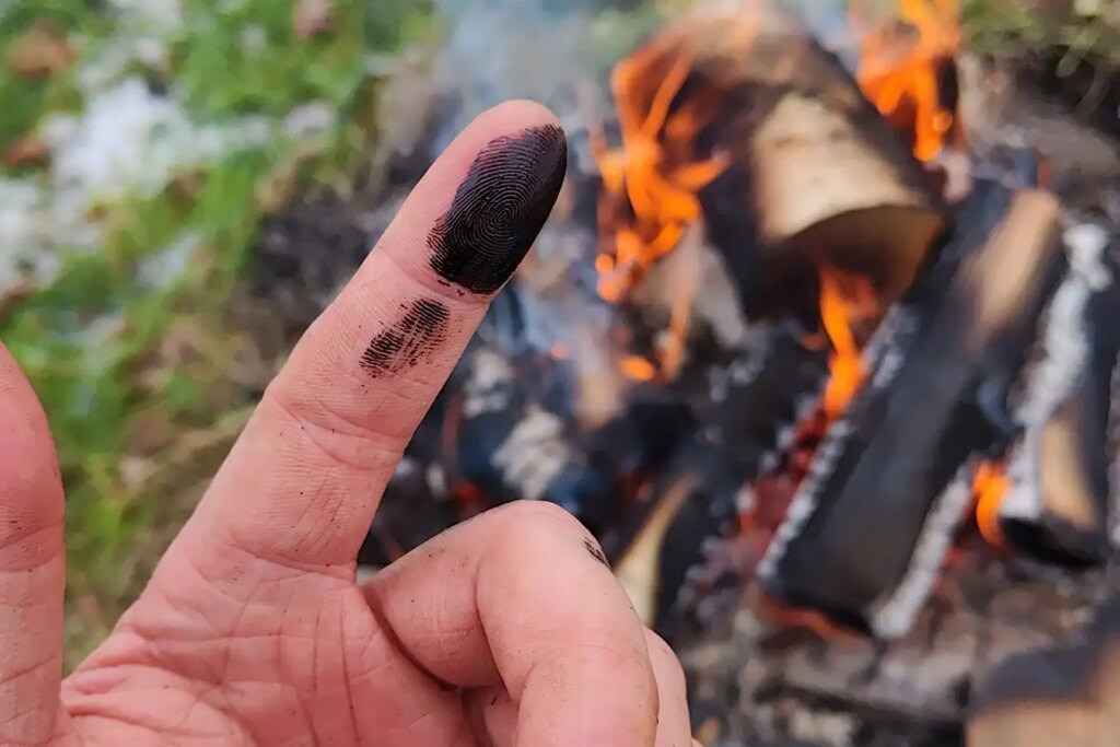 Neanderthals Used Antibiotic Sticky Tar for Wound Treatment