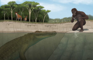 New Crocodile Fossil Discovery in Ethiopia Coexistence with Australopithecus afarensis