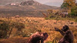 New Fossil Evidence Suggests Grecopithecus Exhibited Partial Bipedalism