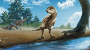 New Herbivorous Dinosaur Species Discovered in South Korea A Breakthrough