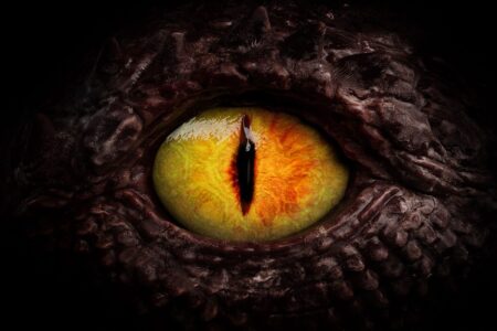 Newly Discovered Dinosaur Could Change Our Understanding of Tyrannosaurus Origins