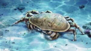 Powerful Jaws of Early Triassic Cyclidan Crustaceans A Deep Dive