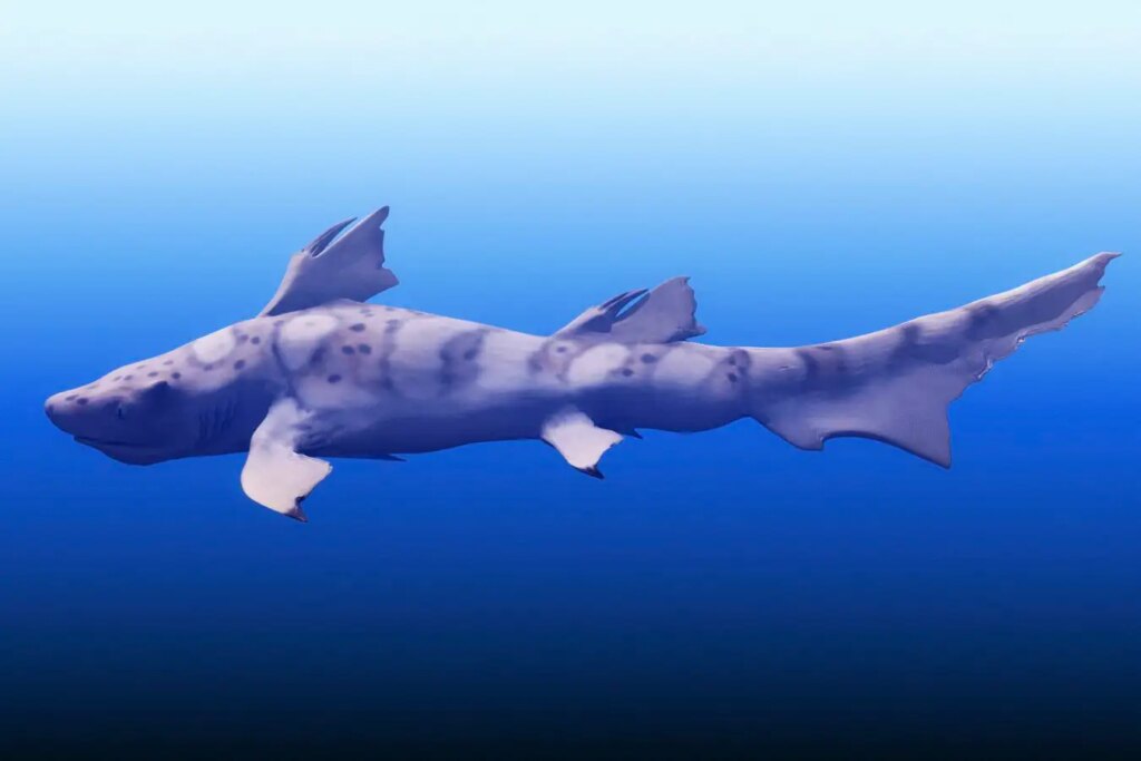 Top Ocean Predators Thrive Even After Earths Largest Mass Extinction