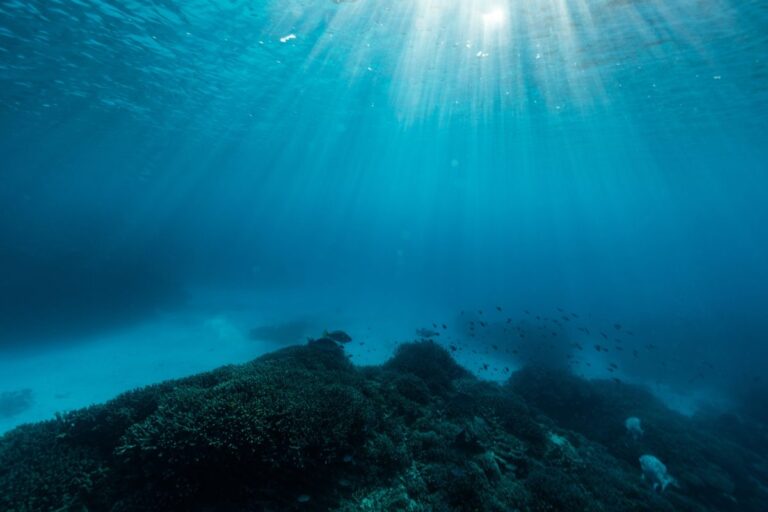 Uncovering the Mystery: Why 99.999% of the Ocean Floor Remains Unexplored Uncovering the Mystery Why 99999 of the Ocean Floor Remains