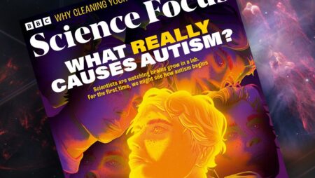 Uncovering the True Causes of Autism What You Need to