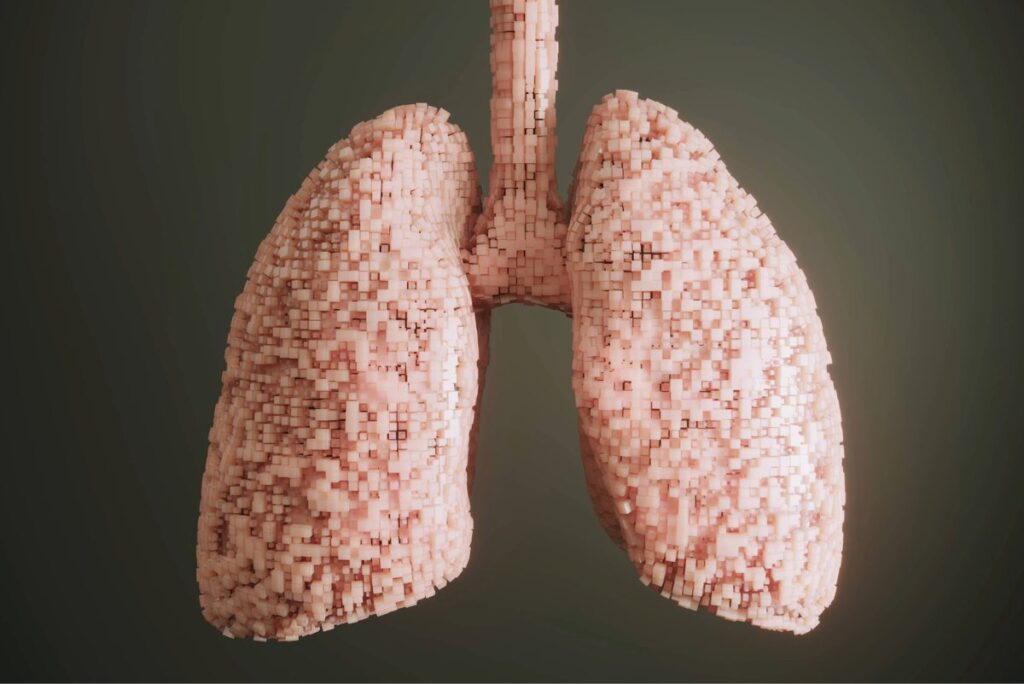 Uncovering the Unique Reasons Behind Paired and Unpaired Human Organs