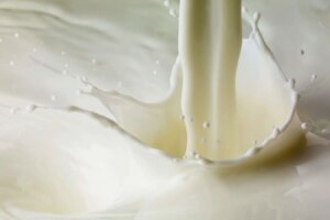 Unlocking the Surprising Science Behind Plant Based Milk What You Need