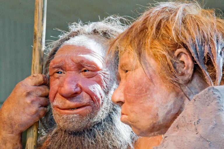 Unraveling Neanderthal Decline Insights from Genetic Clues