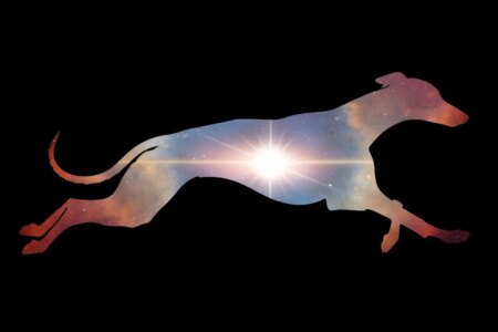 Unveiling the Mystery The Brightest Whippet Space Explosion Ever Discovered