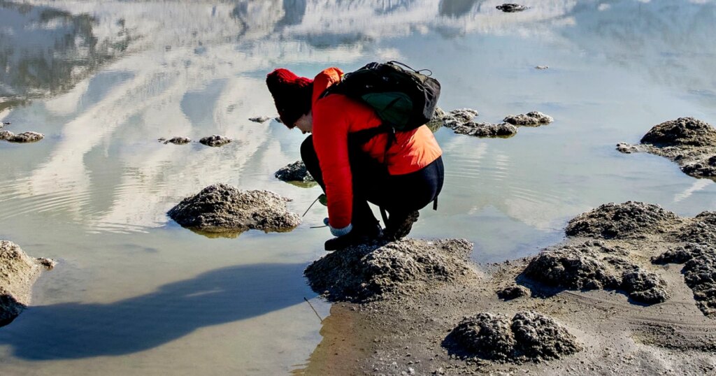 Utah Launches Major Great Salt Lake Rescue Project in Preparation for 2034 Olympics Utah Launches Major Great Salt Lake Rescue Project in Preparation