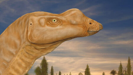 Big Nosed Herbivorous Dinosaurs Evidence of Their Picky Eating Habits