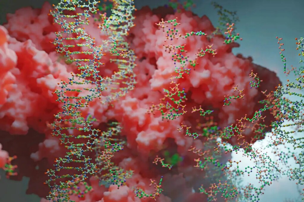 Controversial Claim Can Magnetic Control Really Activate Genes