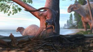 Discover the Omnivorous Rodent like Mammal that Thrived Along the Pacific