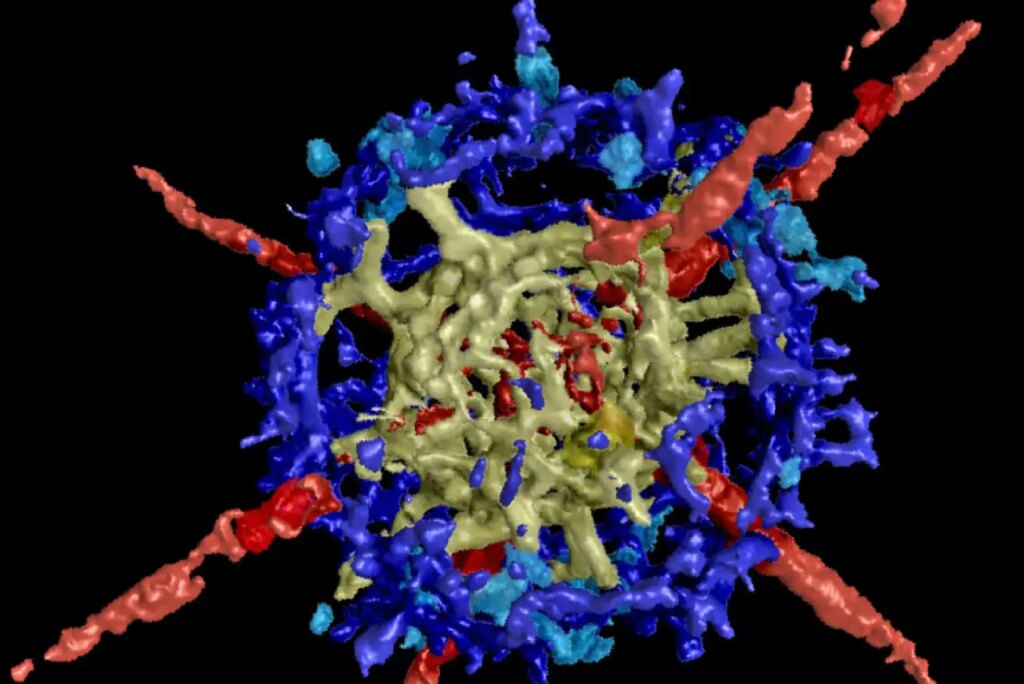 Discovering Hidden Fossils: Uncovering Secrets of Pre-Mass Extinction Oceans Discovering Hidden Fossils Uncovering Secrets of Pre Mass Extinction Oceans