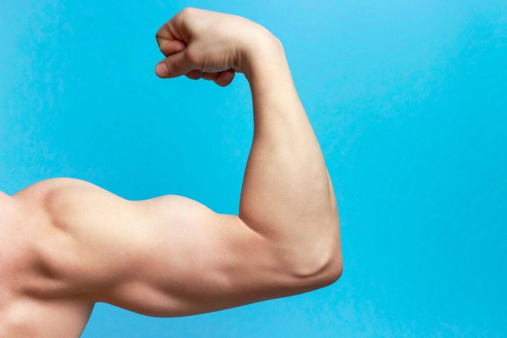 Effective 100 Day Plan for Sustainable Fat Loss Science Backed Strategies