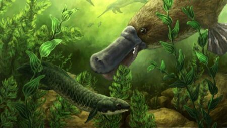 Fossil Evidence Reveals Early Platypuses Had Strong Teeth and Powerful