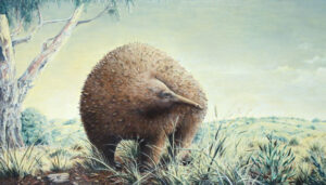 Giant Echidnas Once Roamed Victoria, Australia: Fossil Discoveries Unveiled Giant Echidnas Once Roamed Victoria Australia Fossil Discoveries Unveiled