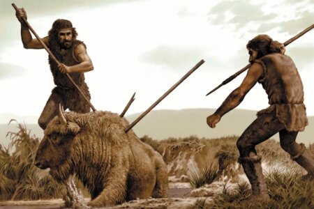 How Disappearing Giant Animals May Have Triggered the Stone Tool Revolution How Disappearing Giant Animals May Have Triggered the Stone Tool