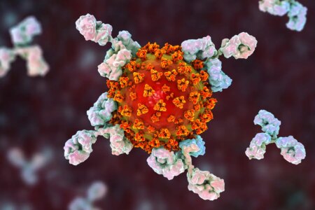 How Immune System Attacks Contribute to Prolonged Coronavirus Infections