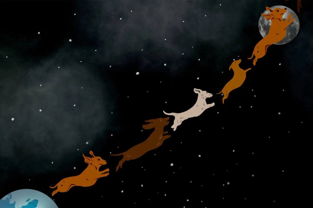 How Many Dachshunds Would It Take to Travel to the
