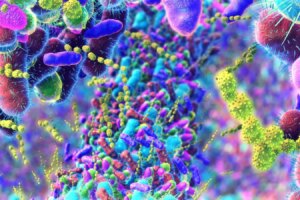 How Modern Life is Impacting Your Estrogen Levels Uncover the