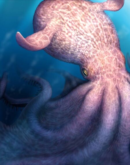 Massive Kraken Like Octopus The Apex Predator of Cretaceous Oceans