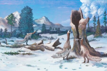 Massive North Pole Unleashed Dinosaurs to Dominate the Earth
