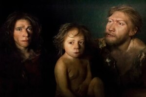 Neanderthal Infants Much Larger Than Modern Human Babies