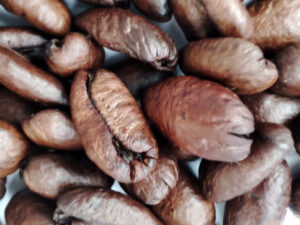 New Research Reveals Connection Between Coffee Consumption Microbiome Changes and