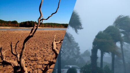 Record Breaking El Nino 2023 Causes and Impacts Explained – Sciworthy