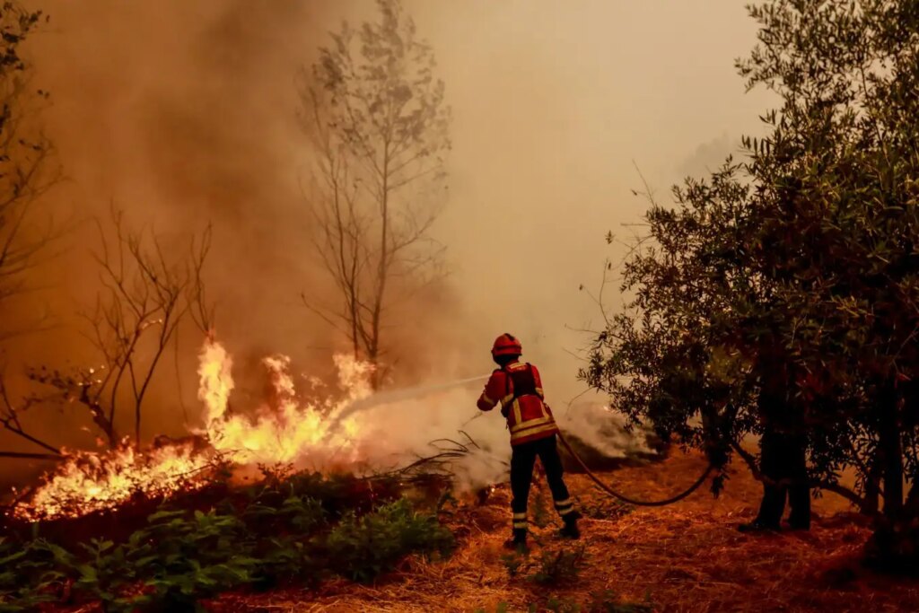 Record Wildfire Emissions in Europe Driven by Extreme Weather in