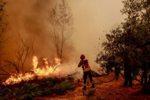 Record Wildfire Emissions in Europe Driven by Extreme Weather in