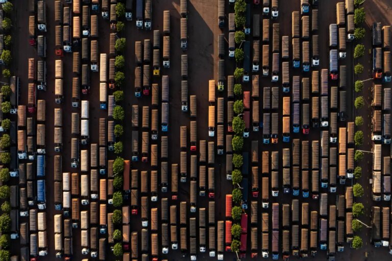 Starks Adventure Carving Through the Amazon Jungle for Profit