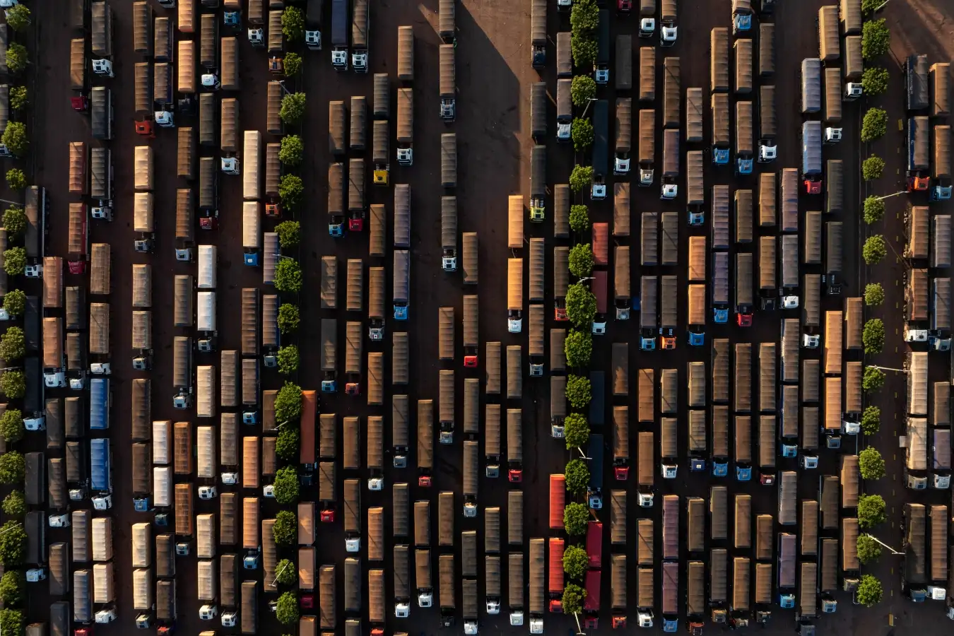 Stark's Adventure: Carving Through the Amazon Jungle for Profit 1 Starks Adventure Carving Through the Amazon Jungle for Profit