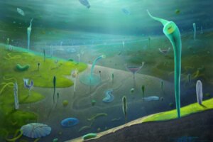 Stunning Fossil Discovery Challenges Timeline of Complex Animal Evolution