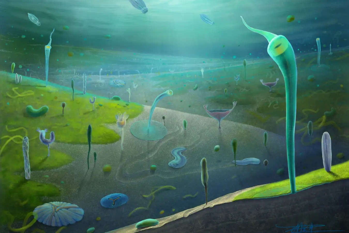 Stunning Fossil Discovery Challenges Timeline of Complex Animal Evolution 1 Stunning Fossil Discovery Challenges Timeline of Complex Animal Evolution